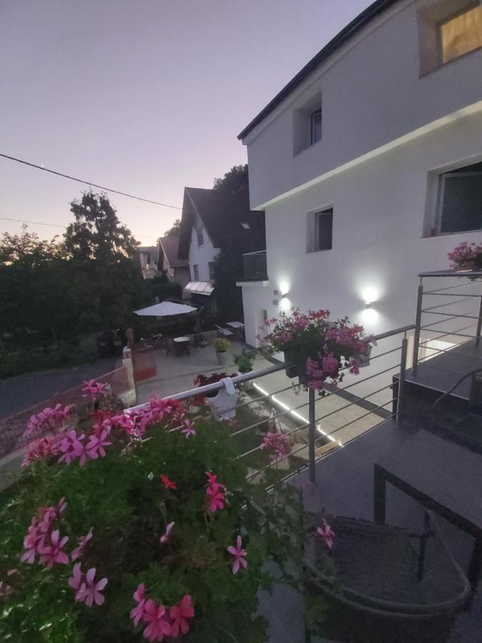 Rooms Panda Maribor Dış mekan fotoğraf